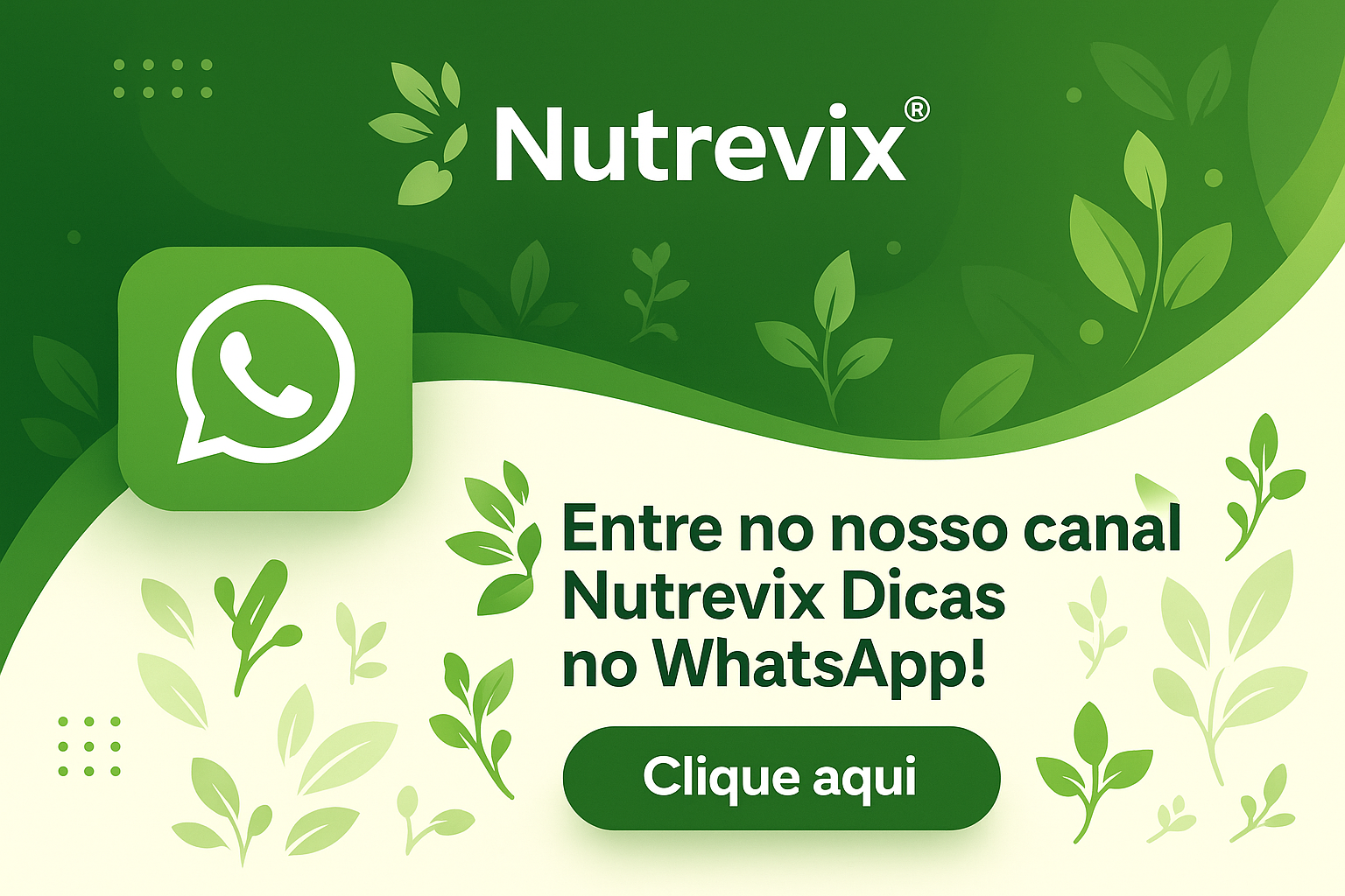Entre no nosso canal Nutrevix Dicas no WhatsApp